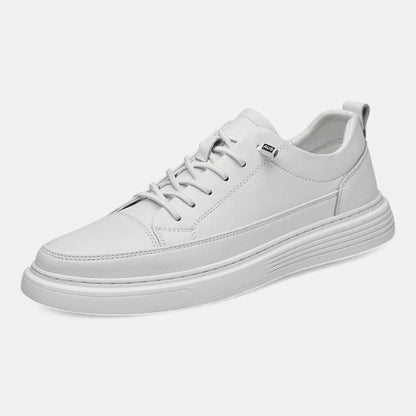 ALESSANDRO | Sneakers